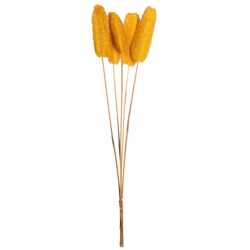 LUFFA CON VARA X5 70CM