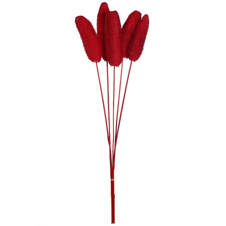 LUFFA CON VARA X5 70CM