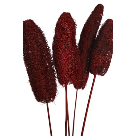 LUFFA CON VARA X5 70CM