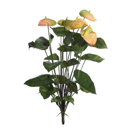 MATA ANTURIUM 55CM