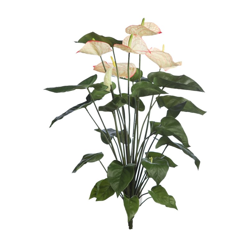 MATA ANTURIUM 55CM