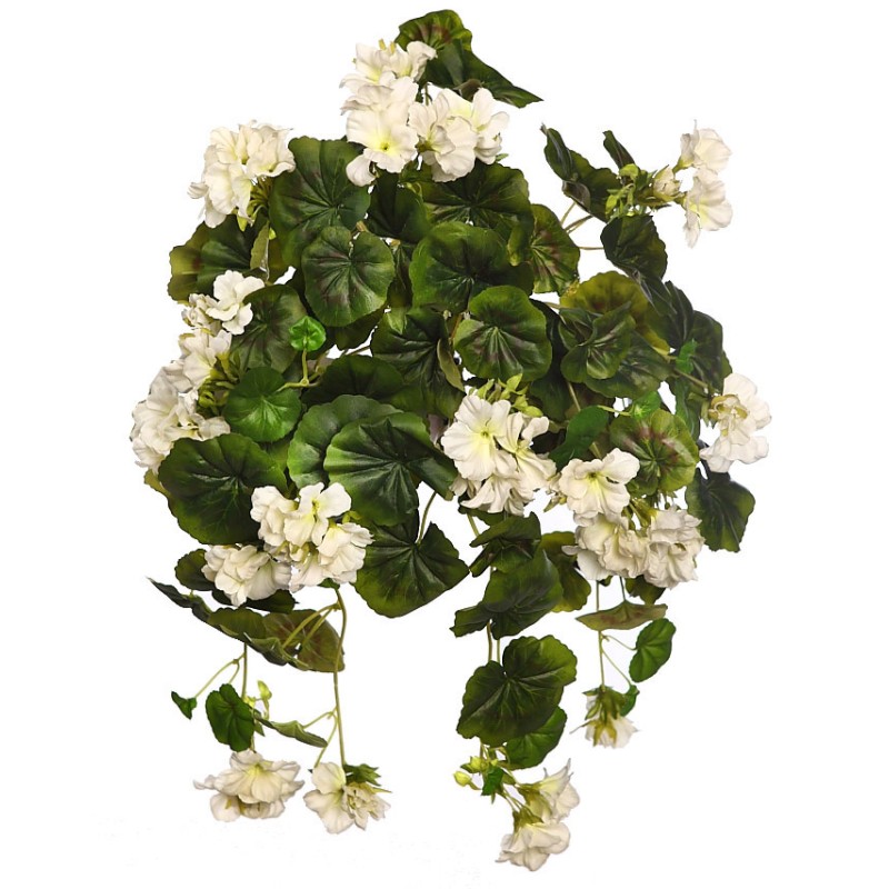 MATA GERANIO COLGANTE 60CM