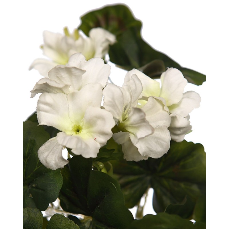 MATA GERANIO COLGANTE 60CM