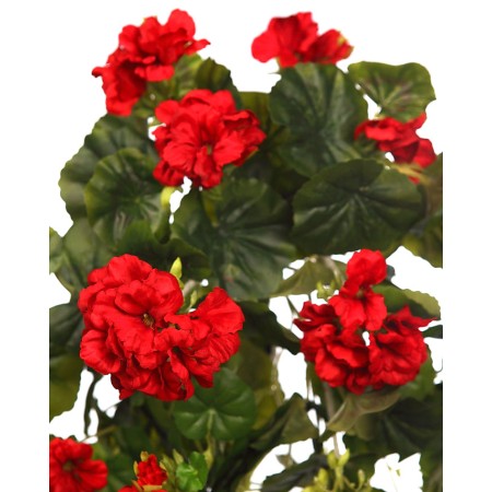 MATA GERANIO COLGANTE 60CM