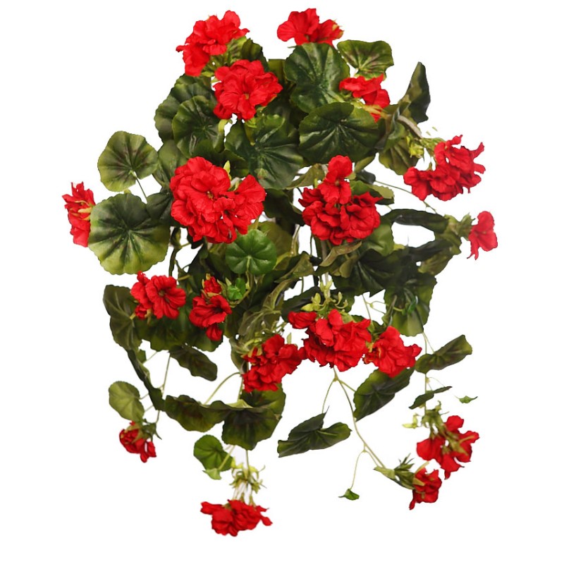 MATA GERANIO COLGANTE 60CM