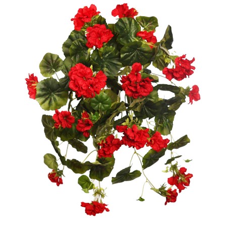 MATA GERANIO COLGANTE 60CM