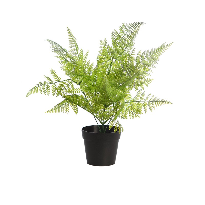 MATA HELECHOSA EN MACETA 30CM