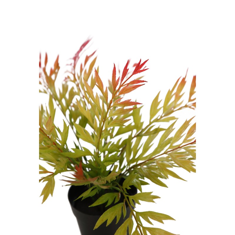 MATA HELECHOSA EN MACETA 33CM