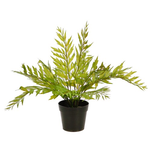 MATA HELECHOSA EN MACETA 33CM