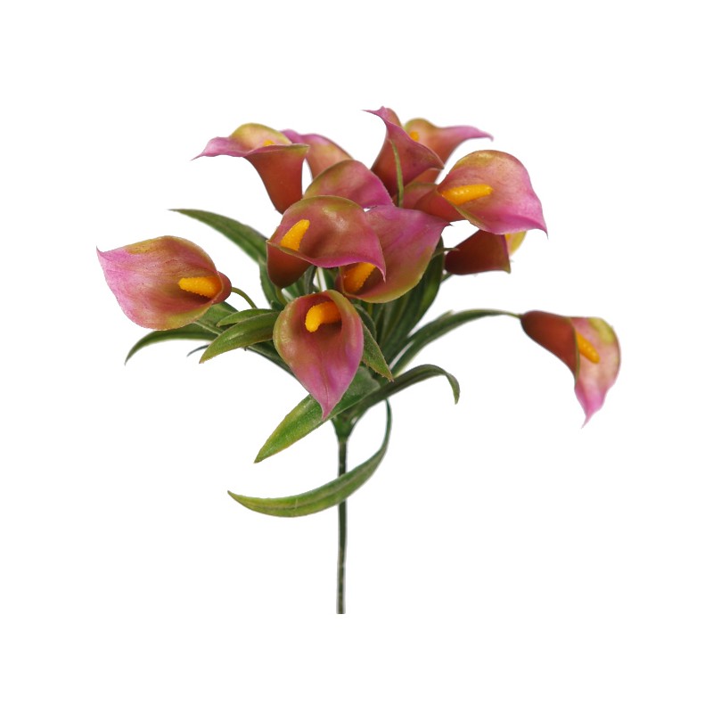 MINI CALA LILY PICK 20CM