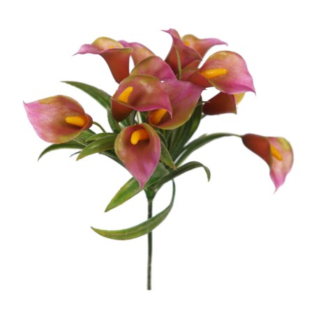 MINI CALA LILY PICK 20CM