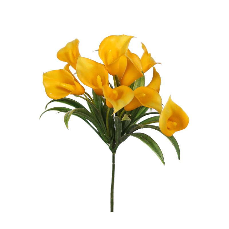 MINI CALA LILY PICK 20CM