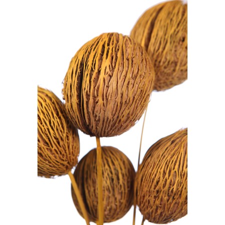 MINTOLA POMO X5 56CM