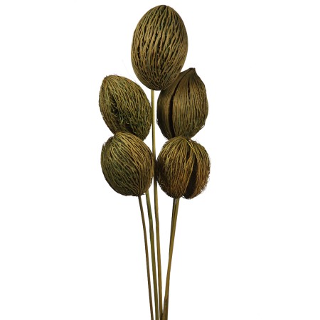 MINTOLA POMO X5 56CM