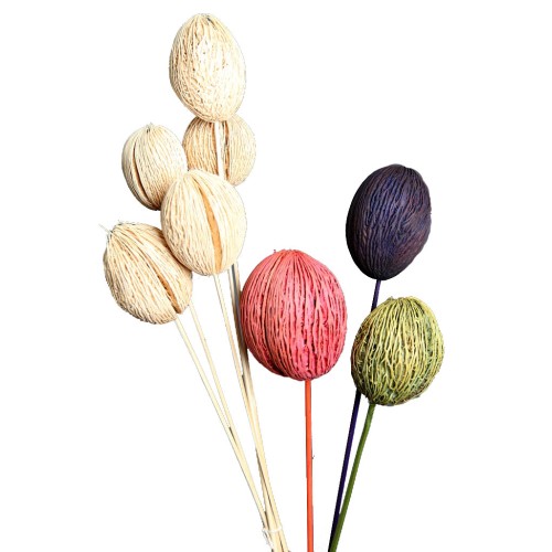 MINTOLA POMO X5 56CM 2