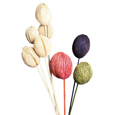 MINTOLA POMO X5 56CM