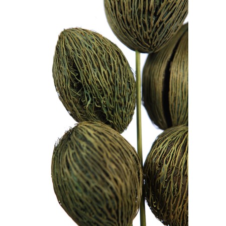 MINTOLA POMO X5 56CM