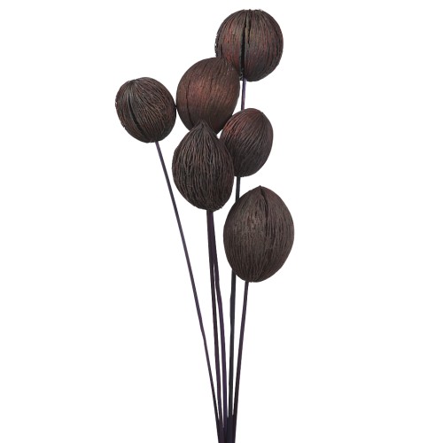 MINTOLA POMO X5 56CM