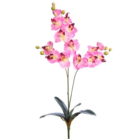 ORQUIDEA FALENOSIS, 56 CM