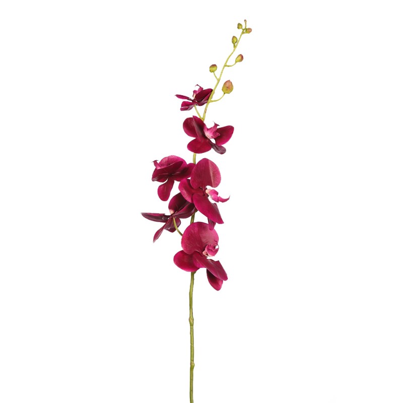 ORQUIDEA PHALAENOPSIS 105CM