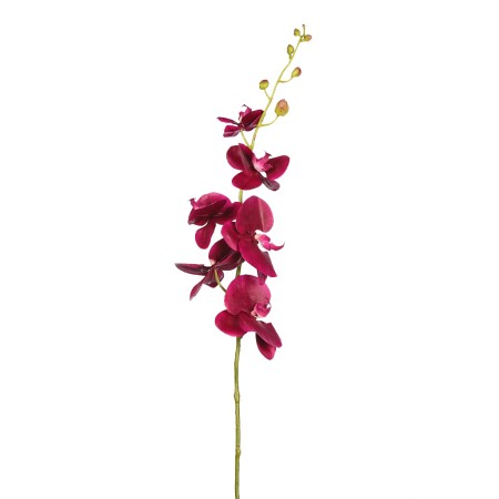 ORQUIDEA PHALAENOPSIS 105CM