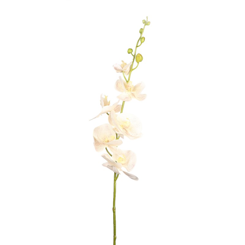 ORQUIDEA PHALAENOPSIS 105CM