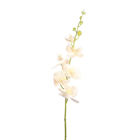 ORQUIDEA PHALAENOPSIS 105CM