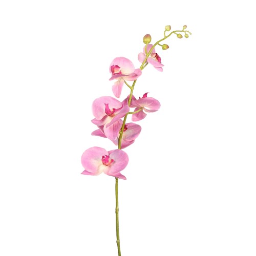 ORQUIDEA PHALAENOPSIS 105CM