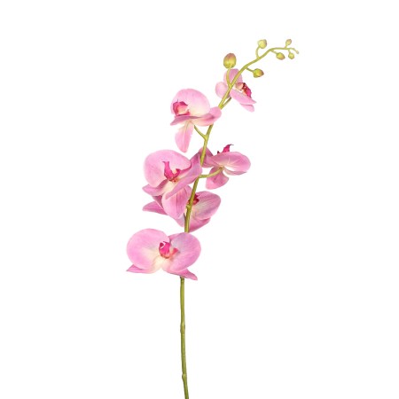 ORQUIDEA PHALAENOPSIS 105CM