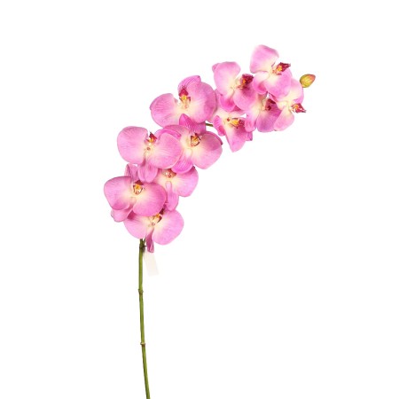 ORQUIDEA PHALAENOPSIS 110CM