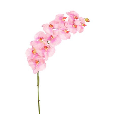 ORQUIDEA PHALAENOPSIS 110CM