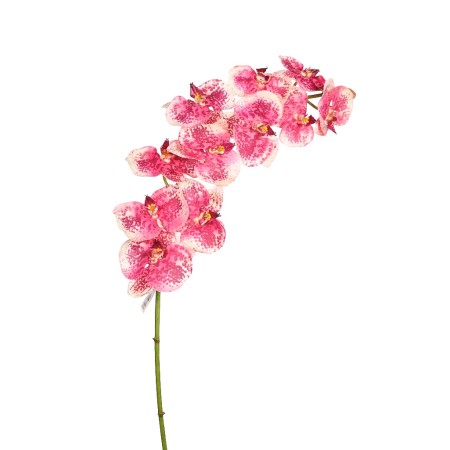 ORQUIDEA PHALAENOPSIS 110CM