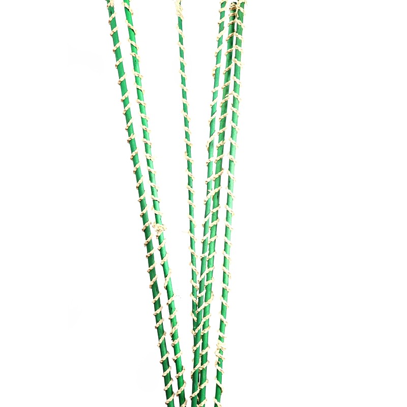PALM HALLOW STICK X6UD 98CM