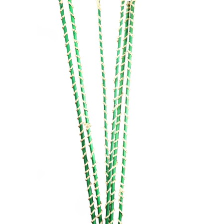 PALM HALLOW STICK X6UD 98CM