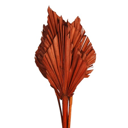 PALM SPEAR X6 45CM