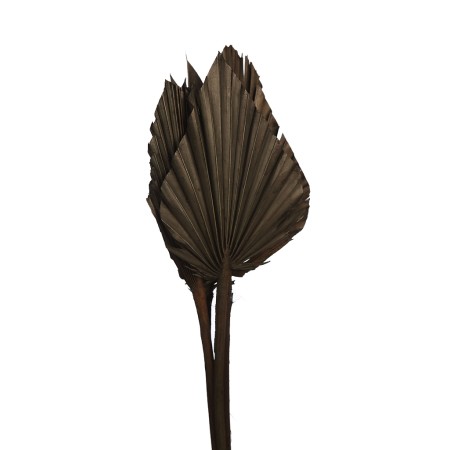 PALM SPEAR X6 45CM