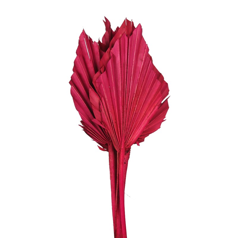 PALM SPEAR X6 45CM