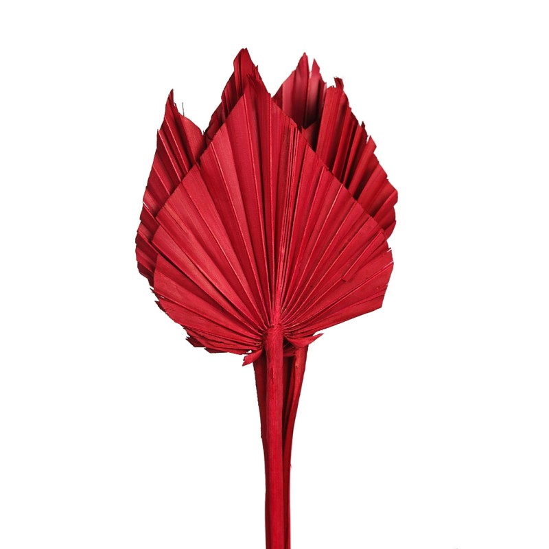 PALM SPEAR X6 45CM