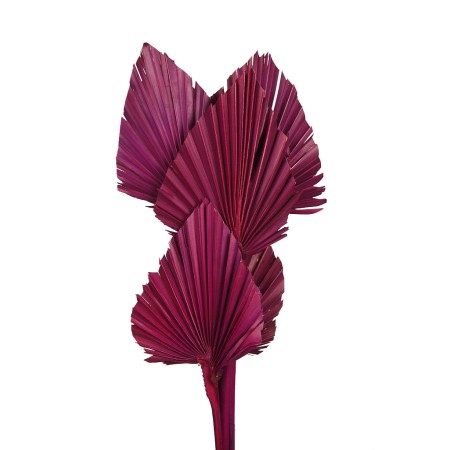 PALM SPEAR X6 45CM
