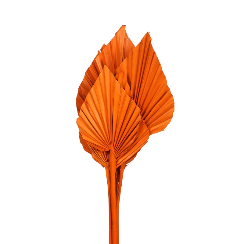 PALM SPEAR X6 45CM