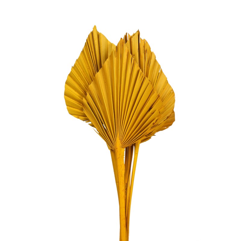 PALM SPEAR X6 45CM