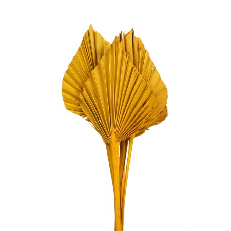 PALM SPEAR X6 45CM