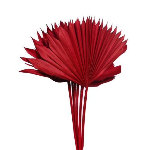 PALM SUN SPEAR X6  45CM