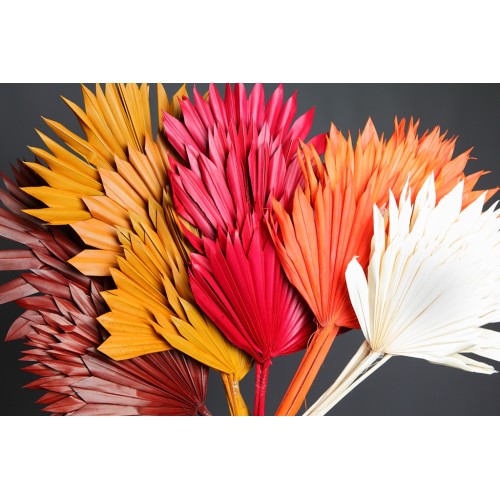 PALM SUN SPEAR X6  45CM 2