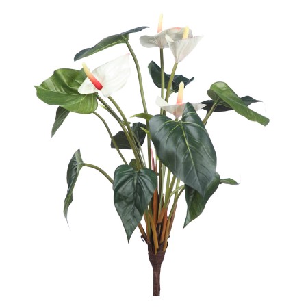 PLANTA ANTURIO 44CM