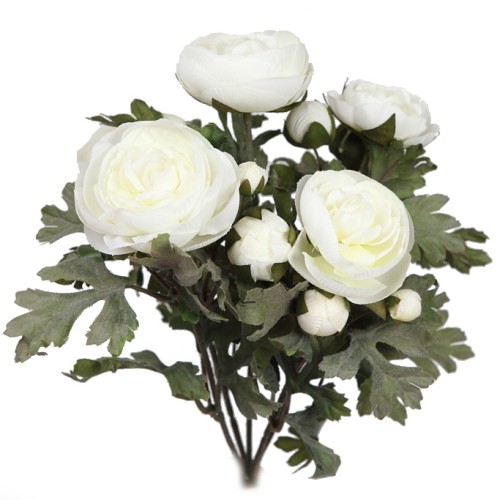 PLANTA DE RANUNCULOS, 30 CM