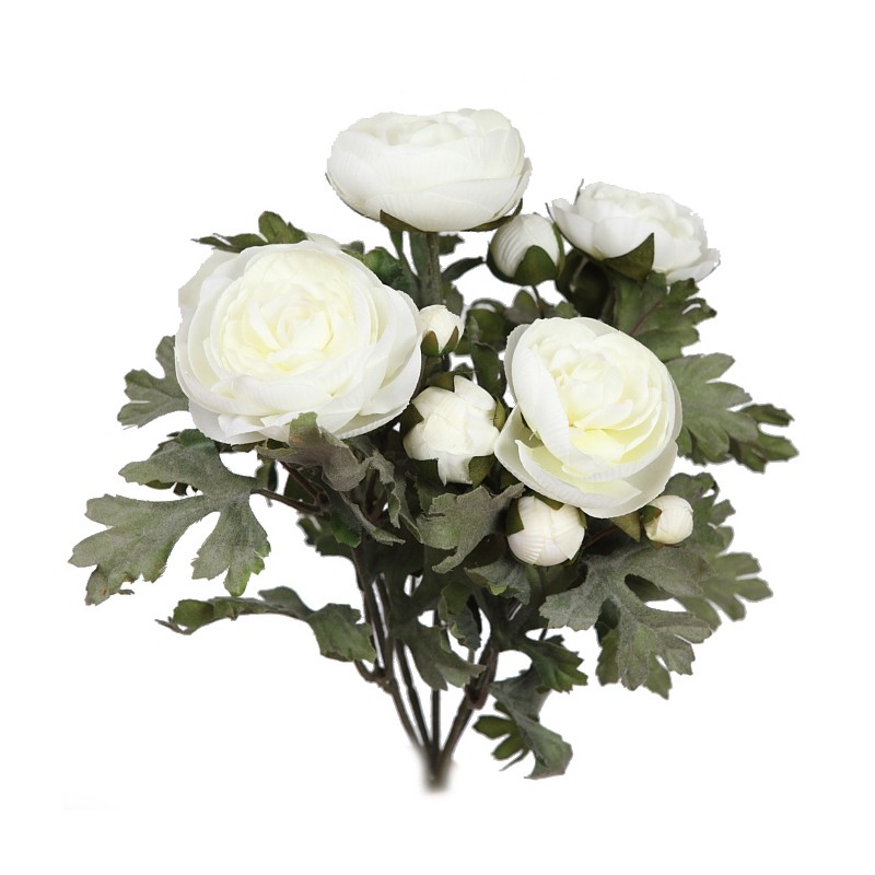 PLANTA DE RANUNCULOS, 30 CM