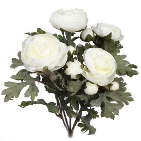 PLANTA DE RANUNCULOS, 30 CM