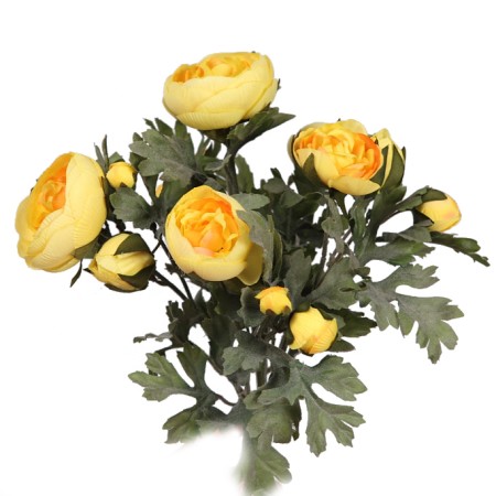 PLANTA DE RANUNCULOS, 30 CM