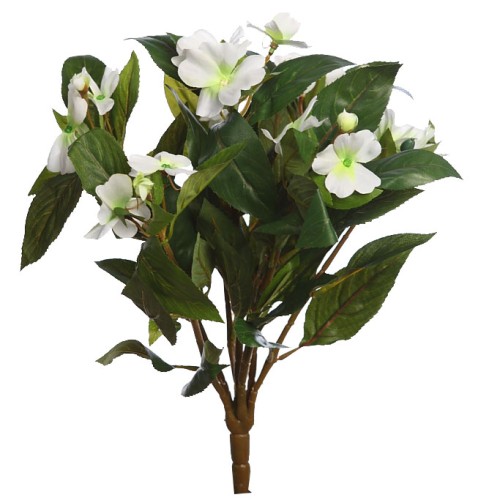 PLANTA IMPATIENT 35CM 2